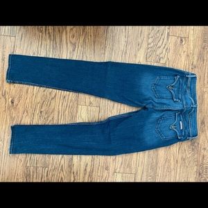 Hudson Skinny jeans